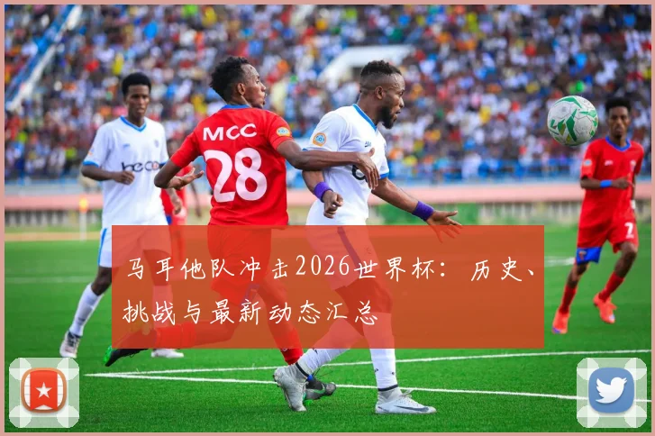 马耳他队冲击2026世界杯：历史、挑战与最新动态汇总