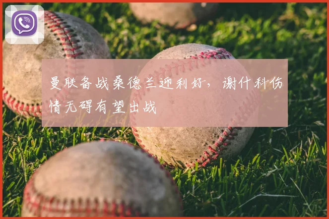 曼联备战桑德兰迎利好，谢什科伤情无碍有望出战