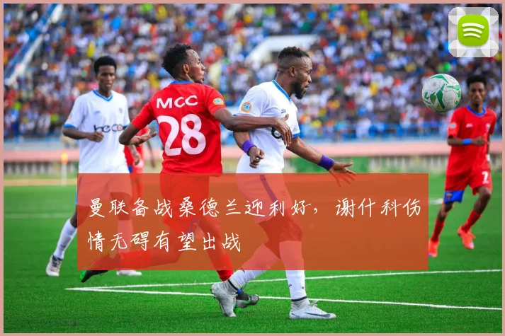 曼联备战桑德兰迎利好,谢什科伤情无碍有望出战